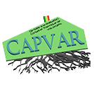 logo-capvar